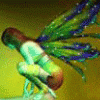[Image: photo-2529452-M.gif]