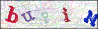 Vérification par image
